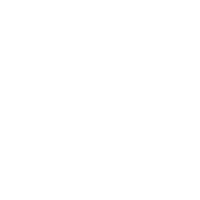 Privacy Icon